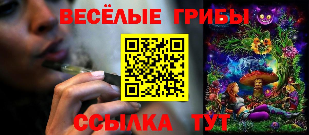 Псилоцибиновые грибы MAGIC MUSHROOMS Учалы