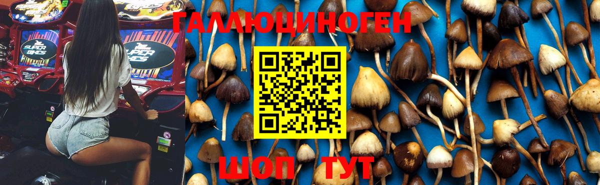 Галлюциногенные грибы MAGIC MUSHROOMS  Вход с VPN  Учалы 